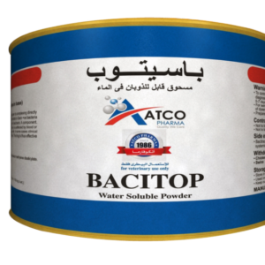 باسيتوب